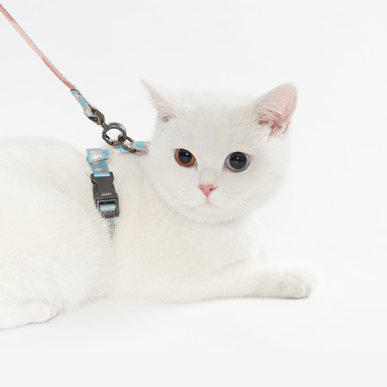 Cat Leash & Harness