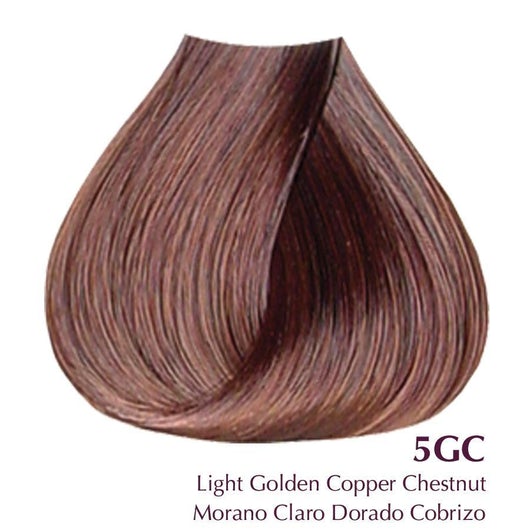 5GC Light Golden Copper Chestnut - Satin Ultra Vivid Fashion Colors by Developlus 3 Oz