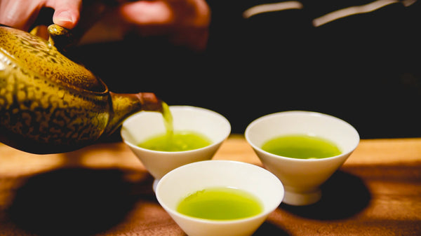 プロバイオティクスとプレバイオティクスの違いは何ですか?