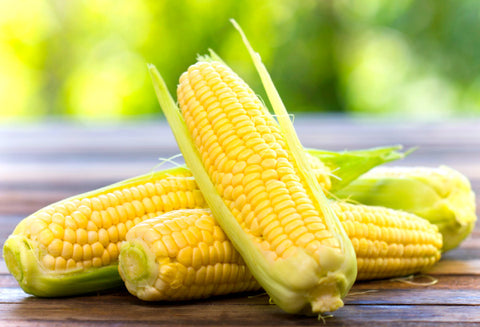 食生活の改善で筋肉痛を改善する方法とは何か