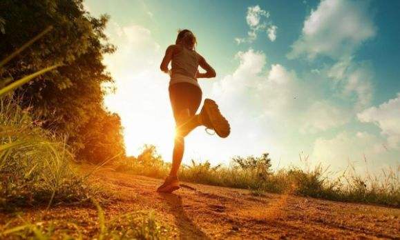 フィットネスでダイエットする!トレーニング方法はの再チェック!