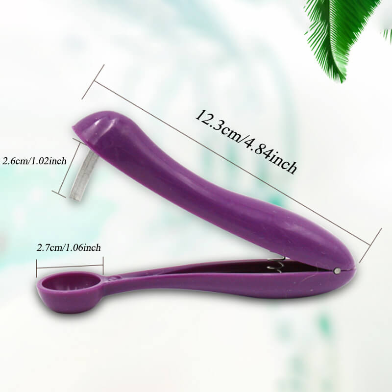 cherry pitter size