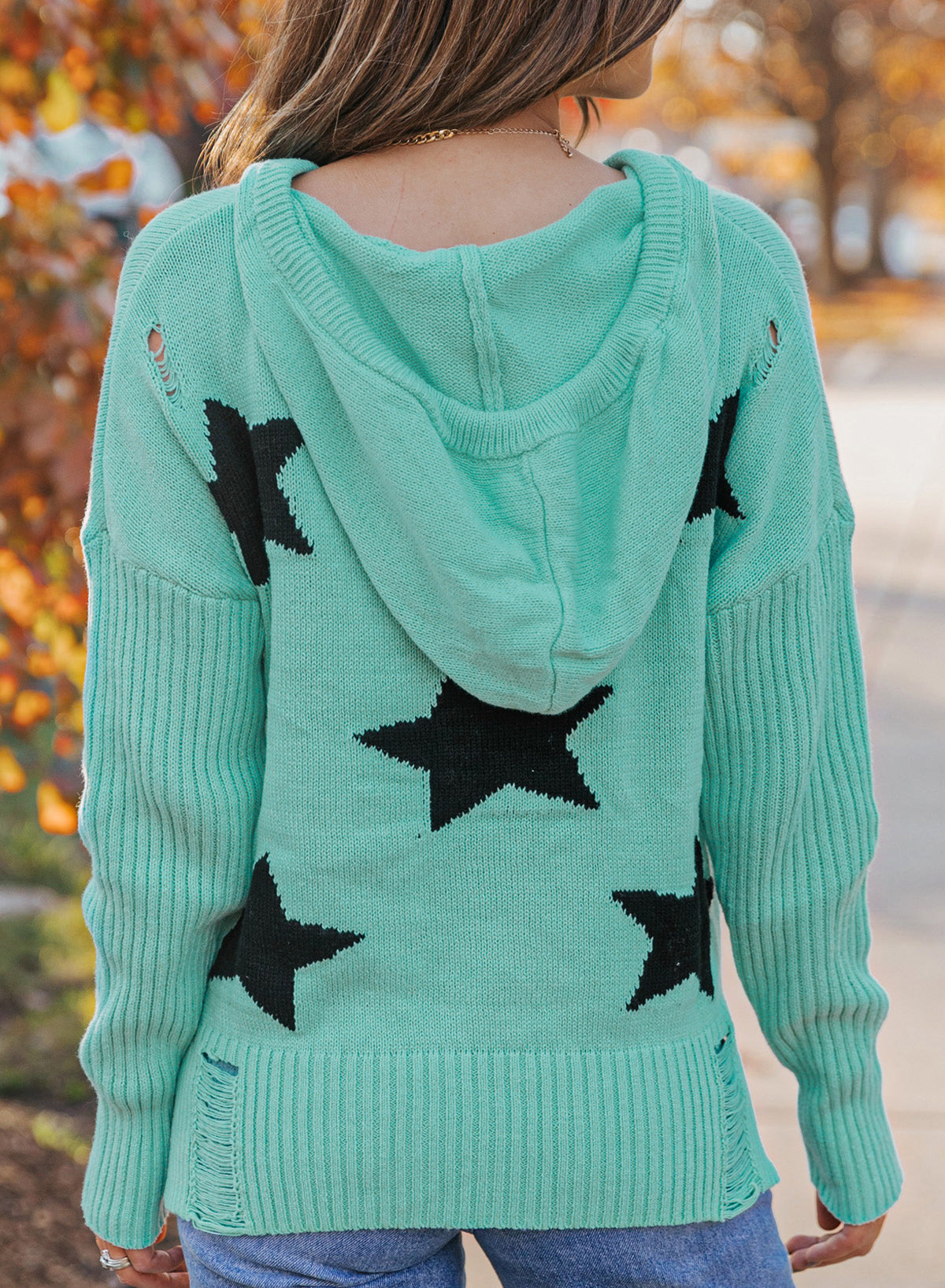 Star Distressed Hooded Sweater