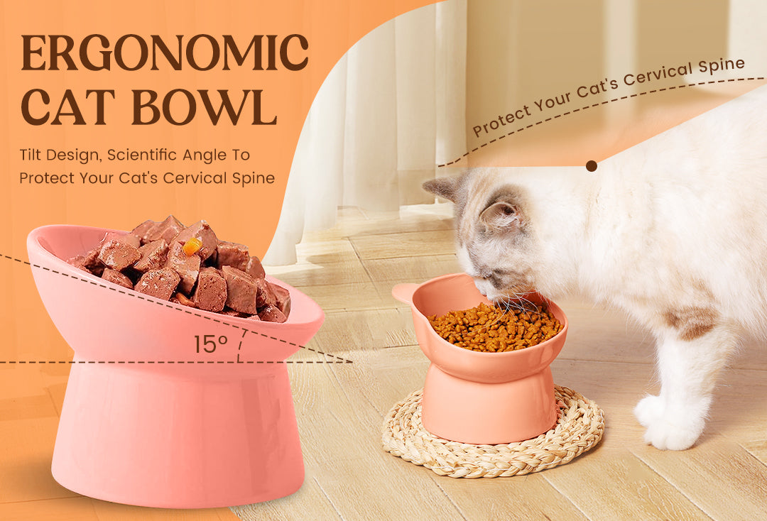 Ergonomic Cat Bowl giftspocket