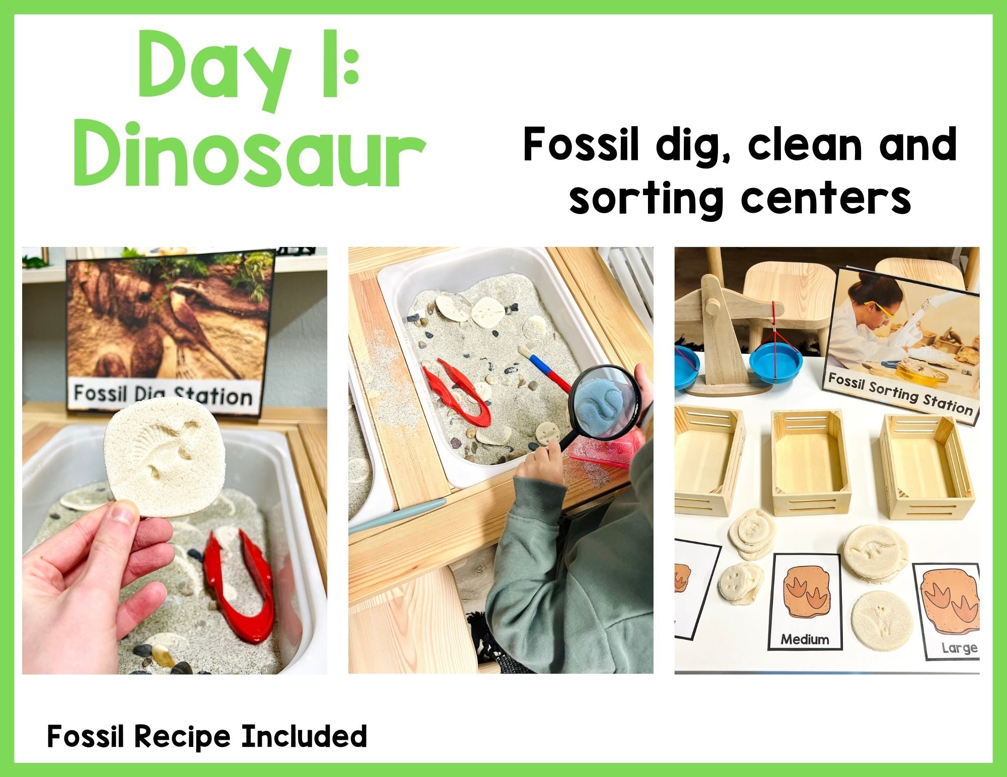 Dinosaur Activities Preschool Weekly Themed Curriculum