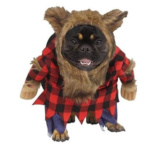 Were-Woof! Pet - Dog Costume - 3 Sizes