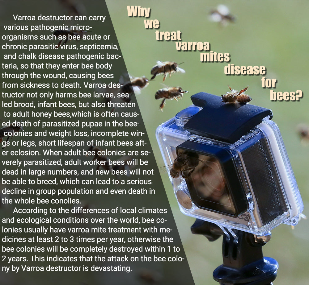 ЛИНГМАН 12,5% КЭ Амитраз для лечения пчел