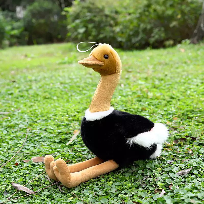 Ostrich Plush Toys