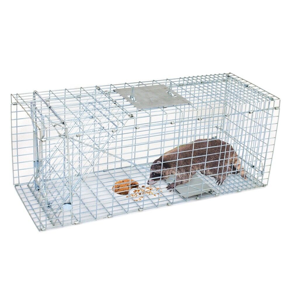 Humane Animal Trap 32x12x12 Steel Cage Live Rodent Control Skunk Rabbit Opossum