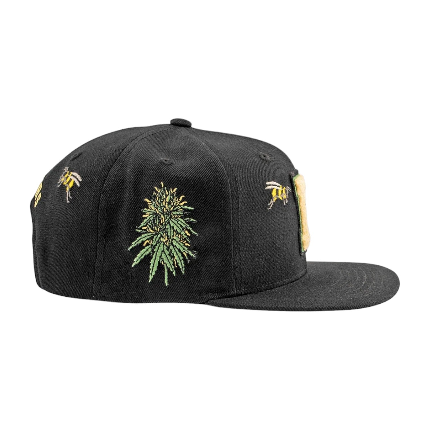 DGK Cultivators Snapback - Black