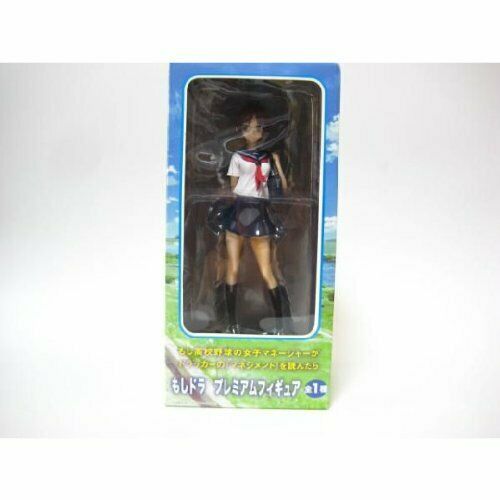 Dora PM Premium Figure Kawashima Minami all one if (japan import) NEW