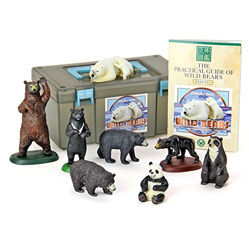 Colorata 3D Real Figure Box Endangered Animals Wild Bears Action Figure NEW