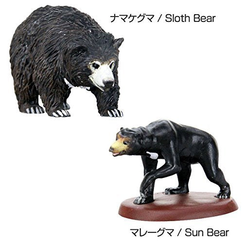 Colorata 3D Real Figure Box Endangered Animals Wild Bears Action Figure NEW