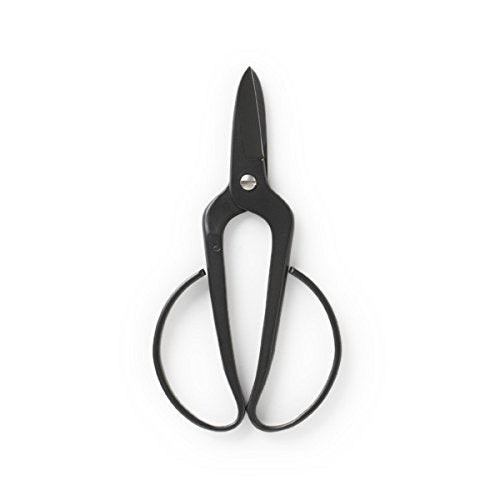 Kobayashi Seikyo Garden Shears FLORIST 3.15