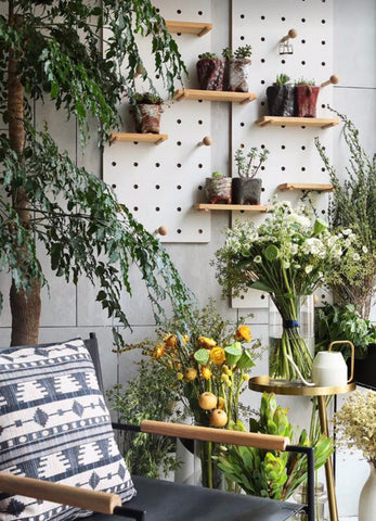 indoor-plants-wall-idea-backyard