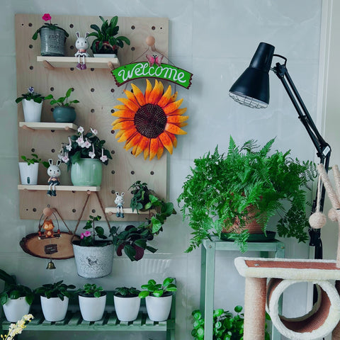 indoor-plants-wall-different-pots-idea