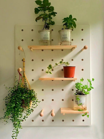 indoor-plant-wall-idea-shelves-sticks