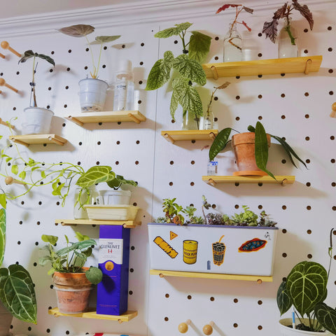 indoor-plant-wall-pegboard-idea
