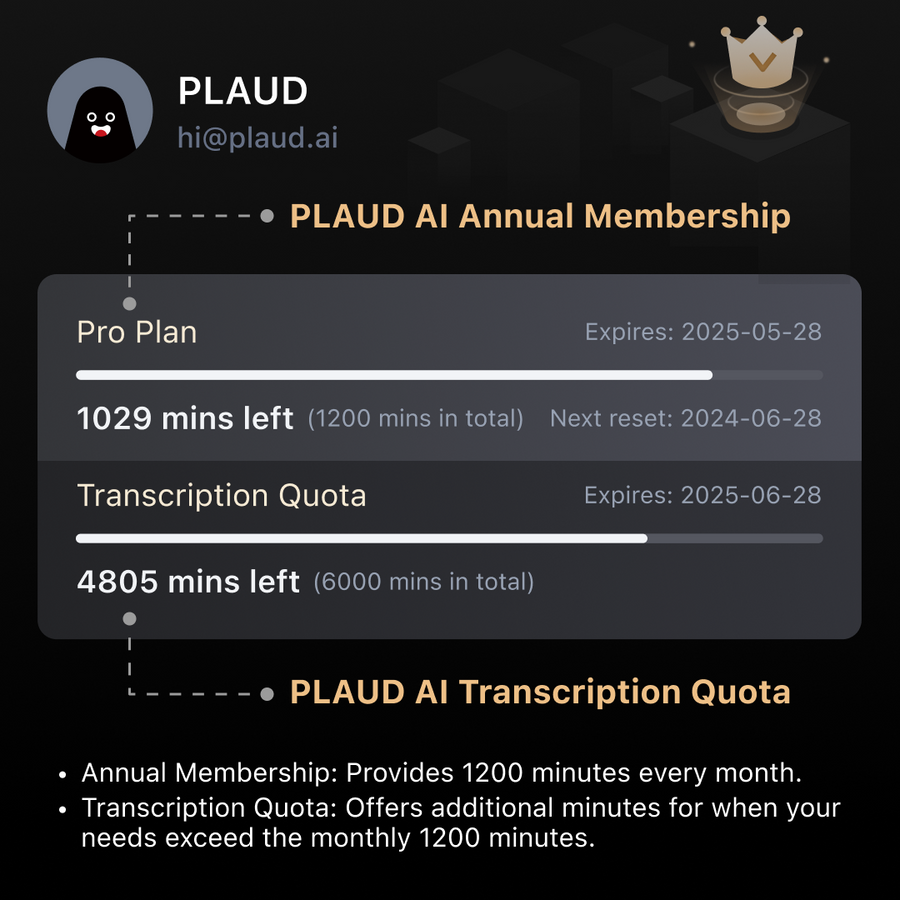 Plano Pro Anual PLAUD AI e Cota de Transcrição (6000/3000/600 minutos) 
