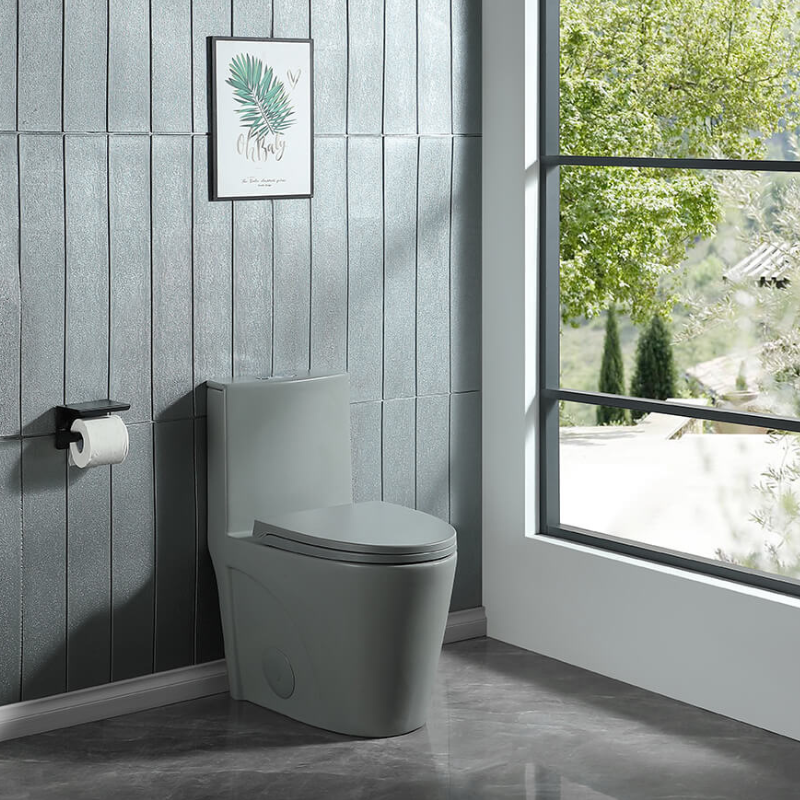1.1/1.6 GPF Dual Flush 1-Piece Elongated Toilet with Soft-Close Seat - 15.5