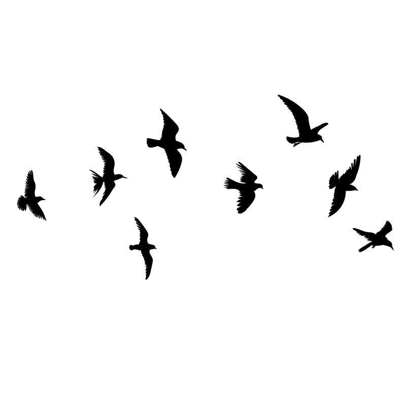 Flying Bird Silhouette Collection -Background Elements Png/PSD/JPG/ Free Download