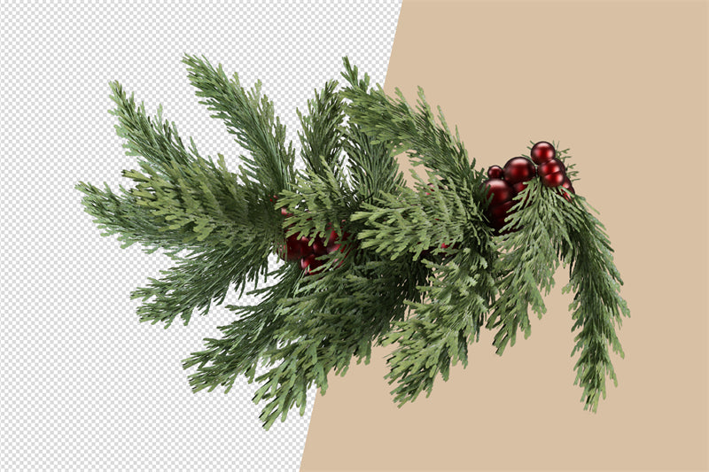 Illustration de branches de sapin de Noël et de pommes de pin - Vecteur - Téléchargement gratuit au format Png/PSD/JPG
