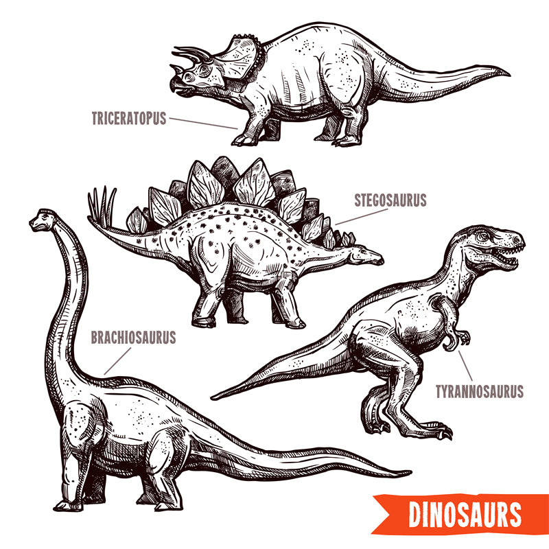 Éléments de dinosaures - Dessin à la main - Vintage - Croquis - Vecteur gratuit