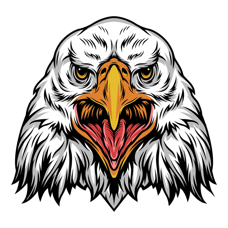 USA BALD Eagle Elements - Illustration - Design Vector Handdraw   
