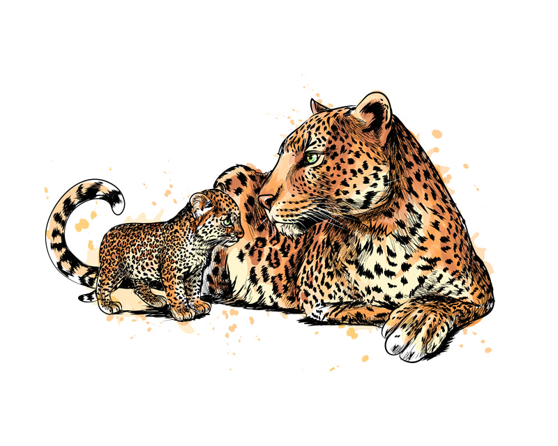  Jaguars - elements - handdraw -logo designs -sketch -illustration  