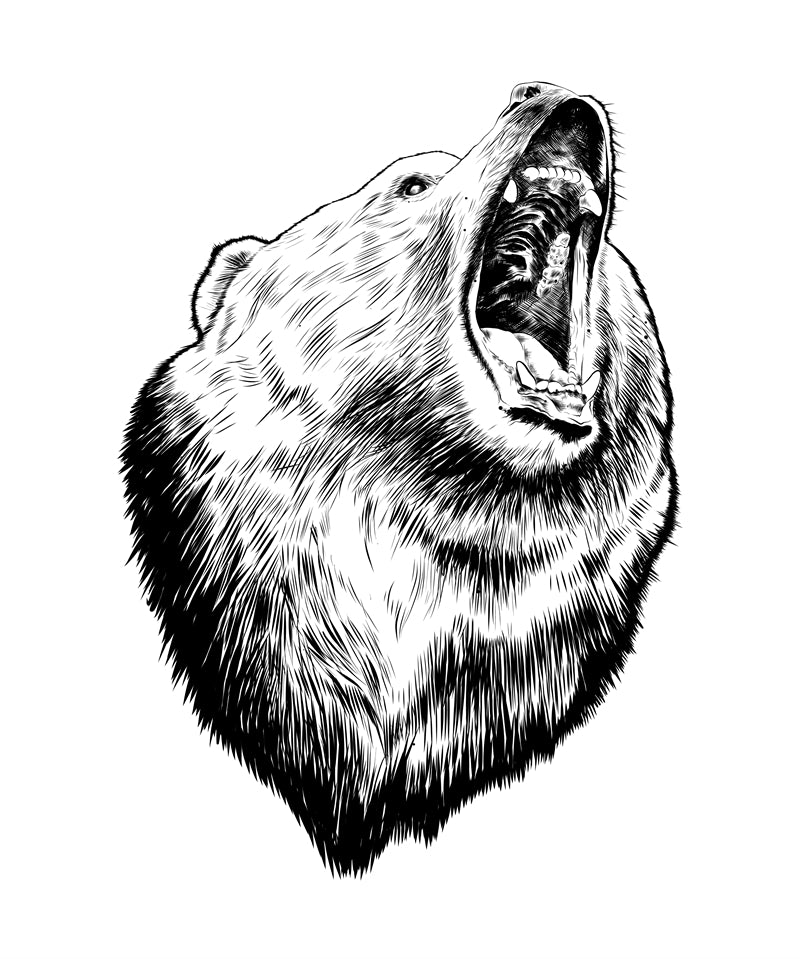 Bear Illustration - Handdraw ELEMENTS - Logo Design Download   