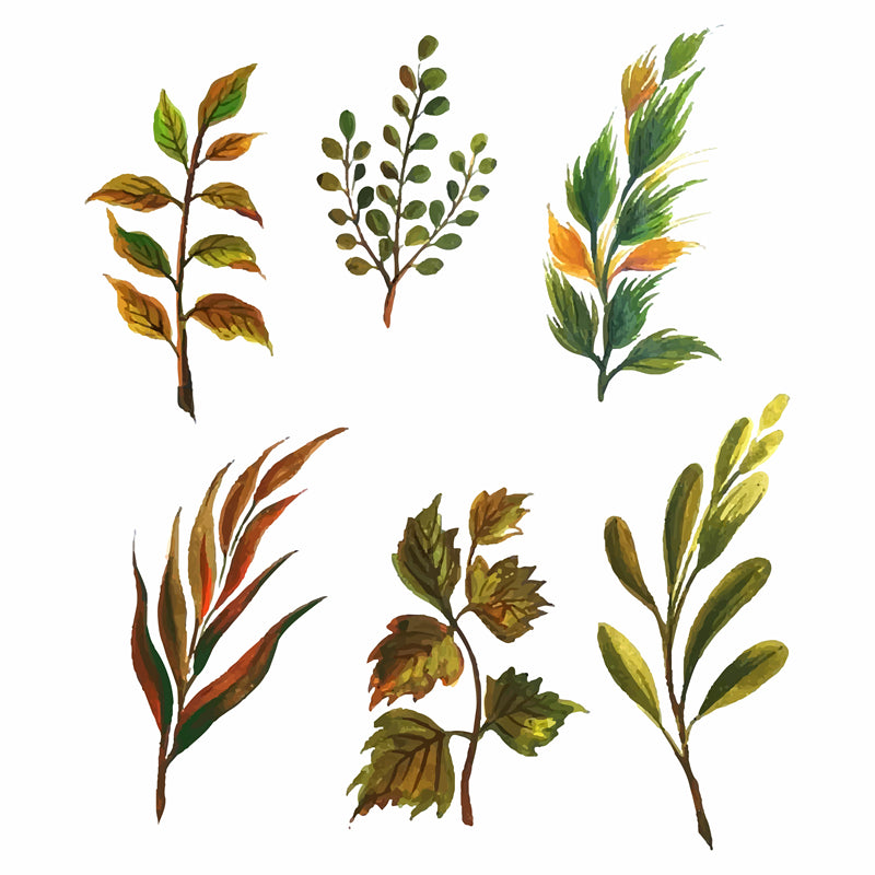 Feuille aquarelle dessinée à la main – Éléments de logo – Vecteur