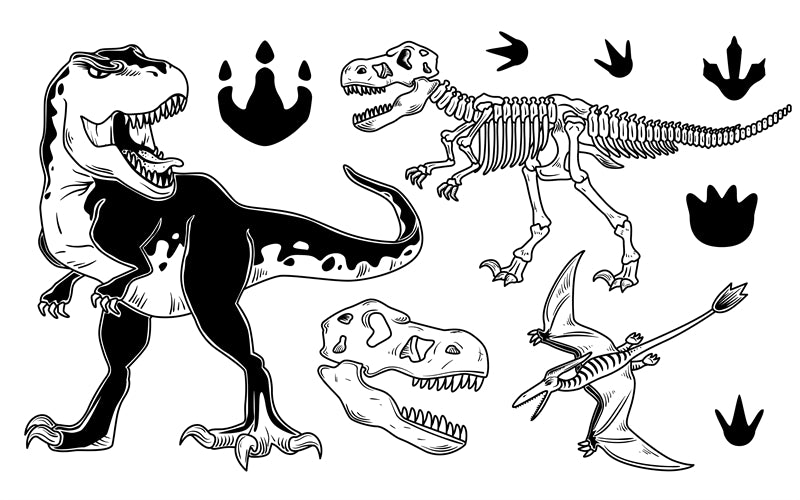 Éléments de dinosaures - Dessin à la main - Vintage - Croquis - Vecteur gratuit