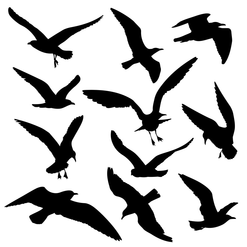Flying Bird Silhouette Collection -Background Elements Png/PSD/JPG/ Free Download