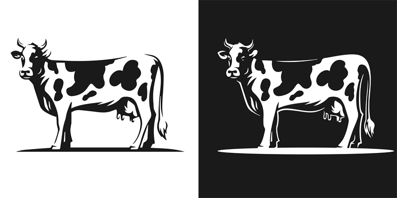 Handdraw Milk Elements - Cow Milk -Milk Bottle - Milk Logo - Design  -Iluustration