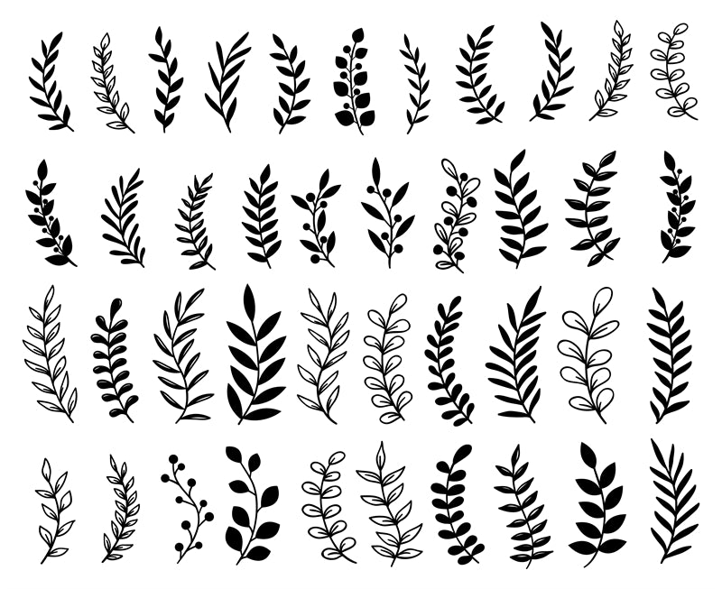 Branche et couronne dessinées à la main, téléchargement gratuit - Illustration Décor PNG/PSD/JPG