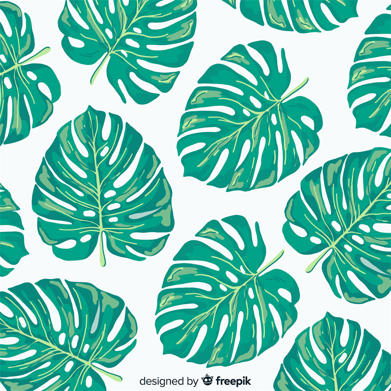 Ornamental Leaf - Monstera Leaf Elements -Foliage Plant - Illustration -Vector -Water Color Handdraw Background 