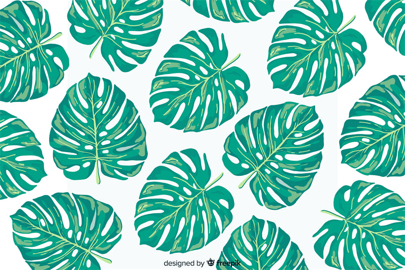 Ornamental Leaf - Monstera Leaf Elements -Foliage Plant - Illustration -Vector -Water Color Handdraw Background 