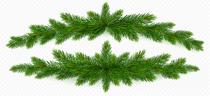Illustration de branches de sapin de Noël et de pommes de pin - Vecteur - Téléchargement gratuit au format Png/PSD/JPG