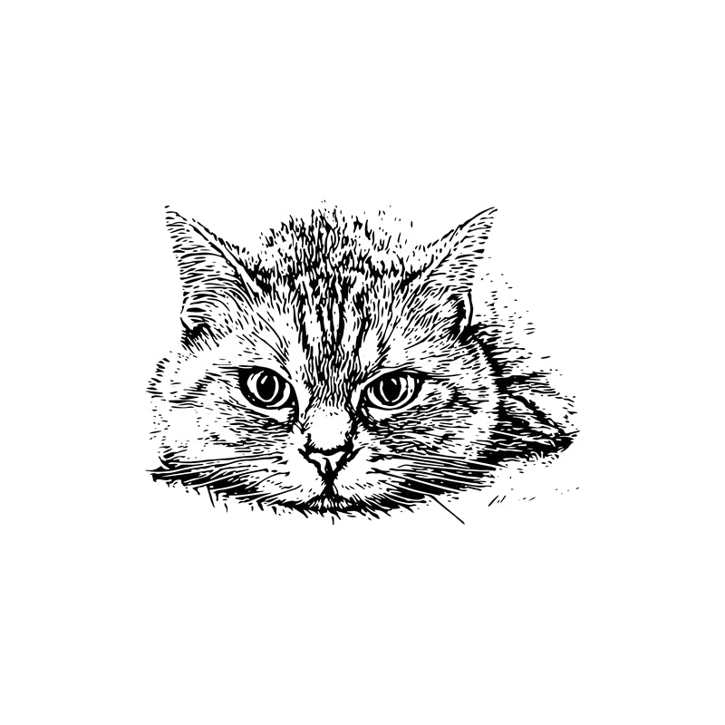Cat Element Logo Vector design free 
