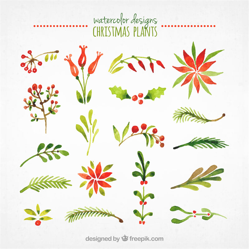 Feuille aquarelle dessinée à la main – Éléments de logo – Vecteur