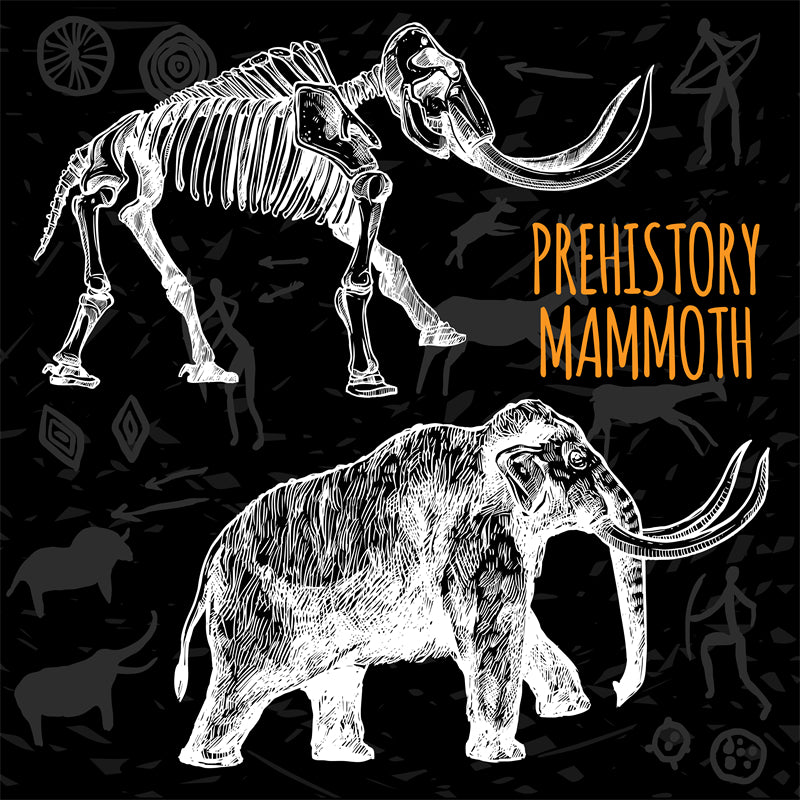 Éléments de mammouth - Crâne vectoriel gratuit - Dessin vintage