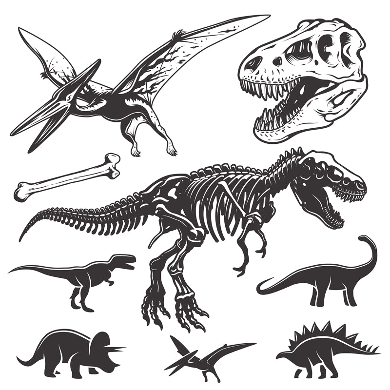 Éléments de dinosaures - Dessin à la main - Vintage - Croquis - Vecteur gratuit
