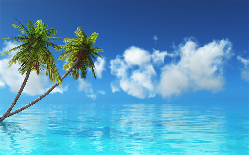 Paysage de bord de mer - Plage des Maldives avec palmiers - Plage tropicale des Caraïbes - Téléchargement gratuit en PNG/PSD/JPG