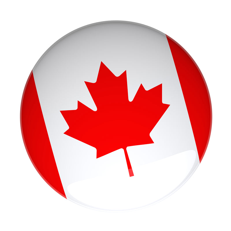 Canada Maple Elements - Illustration -Vector -Water Color Handdraw Background 