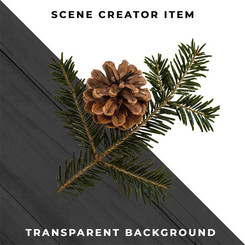 Illustration de branches de sapin de Noël et de pommes de pin - Vecteur - Téléchargement gratuit au format Png/PSD/JPG