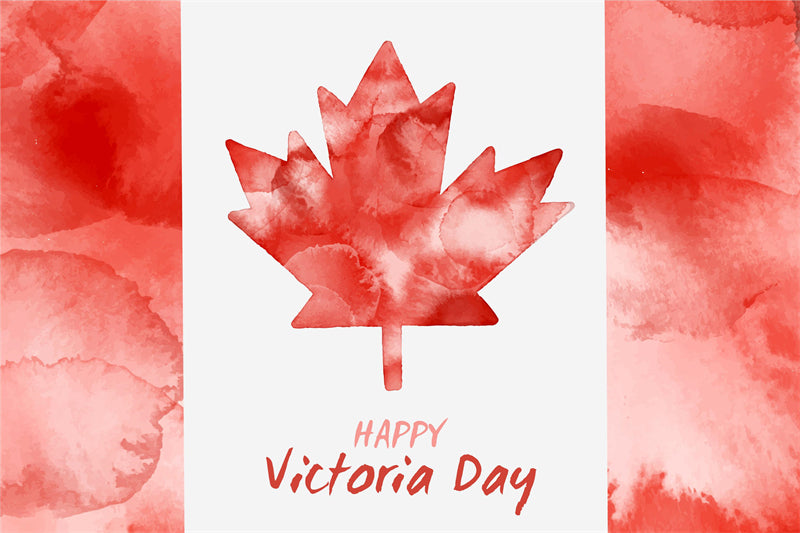 Canada Maple Elements - Illustration -Vector -Water Color Handdraw Background 
