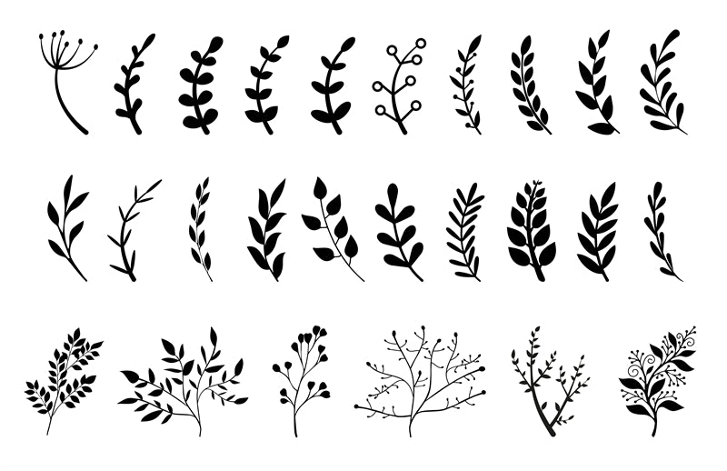 Branche et couronne dessinées à la main, téléchargement gratuit - Illustration Décor PNG/PSD/JPG