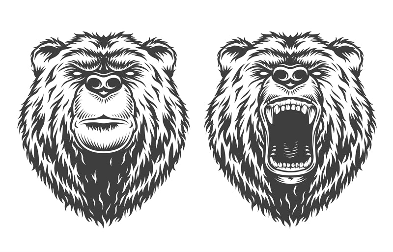 Bear Illustration - Handdraw ELEMENTS - Logo Design Download   