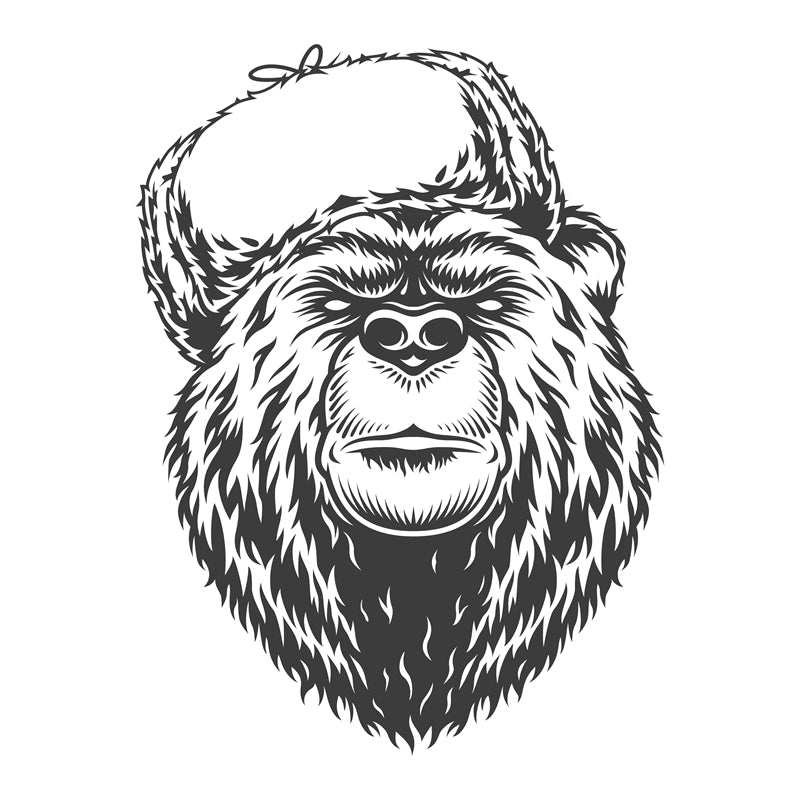 Bear Illustration - Handdraw ELEMENTS - Logo Design Download   