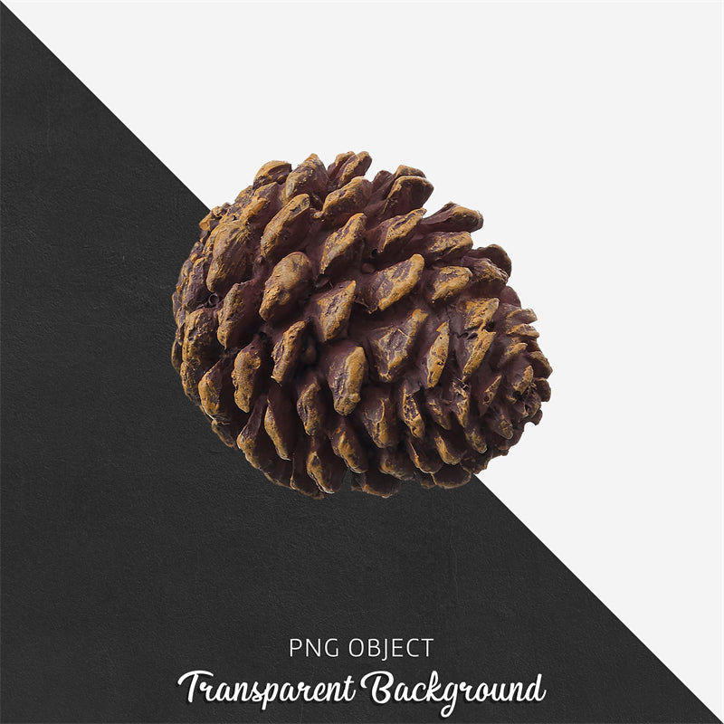 Illustration de branches de sapin de Noël et de pommes de pin - Vecteur - Téléchargement gratuit au format Png/PSD/JPG